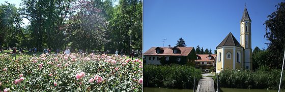 Rosen und Kirche am Ammersee