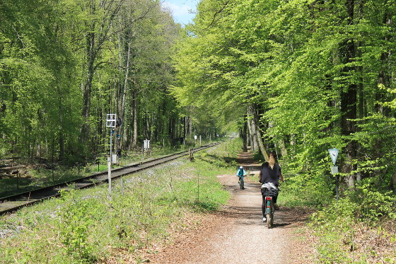 Radweg von Fischen nach Dießen