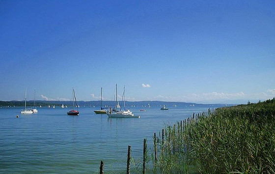 Schilfufer und Segelboote - Blick ueber den Ammersee